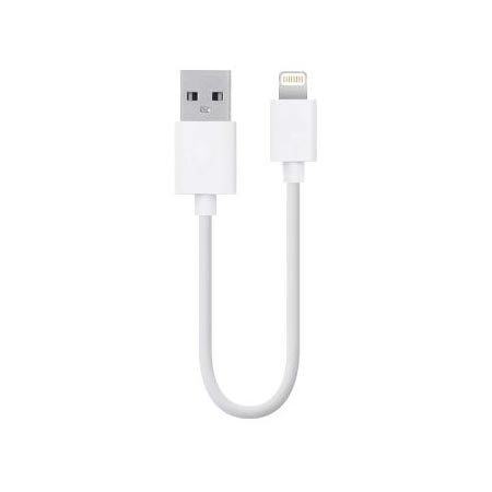 Mini Lightning to USB Cable - White