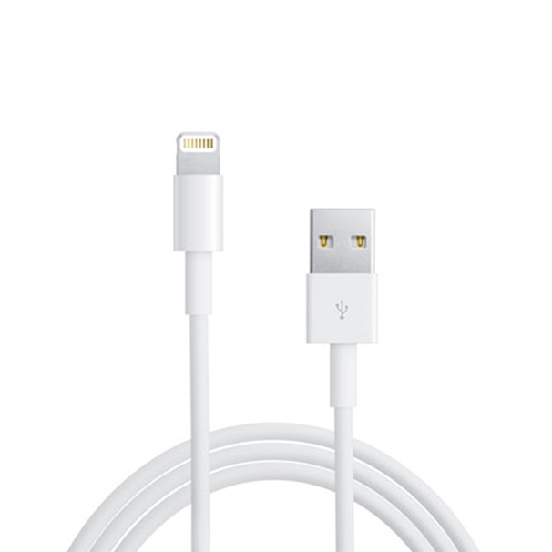 Lightning to USB Cable - White – Tangled